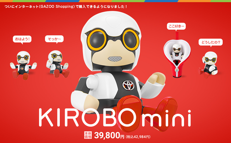 遂にインターネット(GAZOO Shopping)で購入できるようになりました!