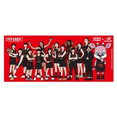 FIT-EASY�R���{ �^�I�� 25-26