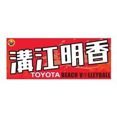 �y�r�[�`�o���[�{�[�����z�^�I���@�a�] �����I��