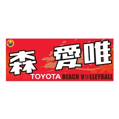 �y�r�[�`�o���[�{�[�����z�^�I���@�X ���B�I��