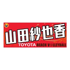 �y�r�[�`�o���[�{�[�����z�^�I���@�R�c �і獁�I��