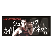 yAe[vXzI薼tFCX^I@VbN JC[ AlbgI #24