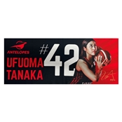 �y�A���e���[�v�X�z�s�N�`���[�^�I���@�c�� ���a�I�� #42