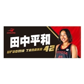�y�A���e���[�v�X�z26-27�I�薼�t�F�C�X�^�I���@�c�� ���a�I�� #42