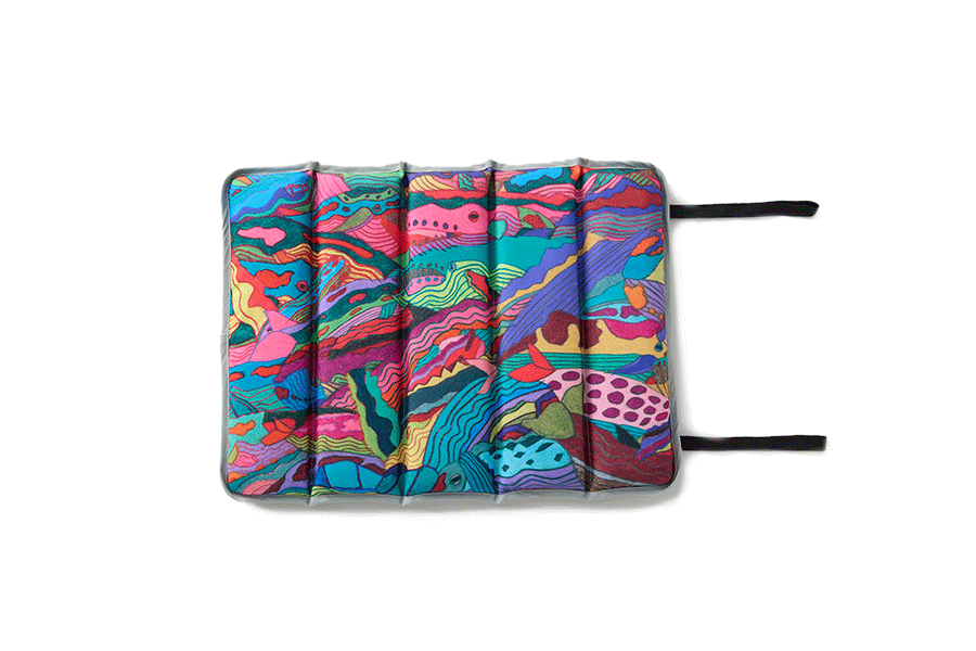 2WAY�V�[�g�N�b�V�����i�N�W���̌Q��j