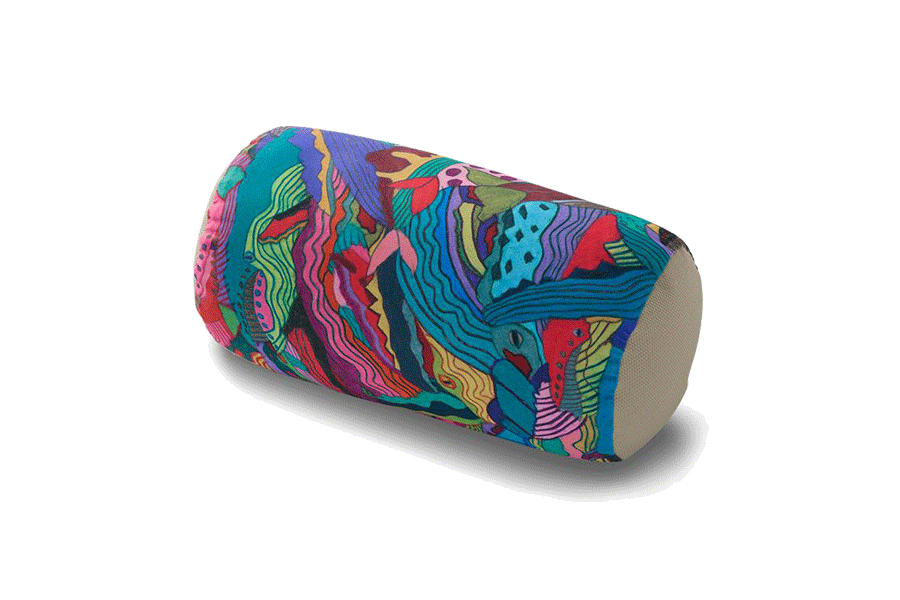 �r�[�Y�N�b�V�����i�N�W���̌Q��j