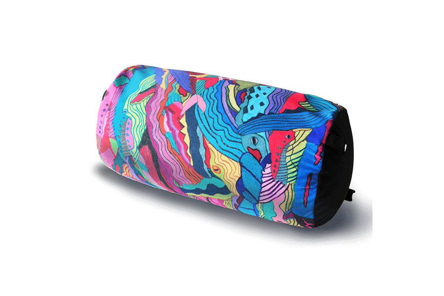 �A���r�[�Y�N�b�V�����i�N�W���̌Q��j